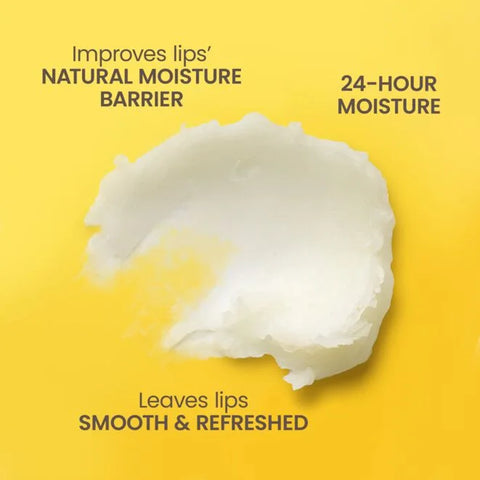 Best of Burt's Lip Balm 4-Pack