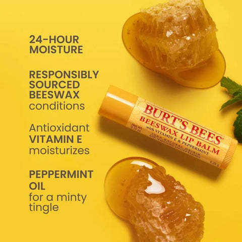 Best of Burt's Lip Balm 4-Pack