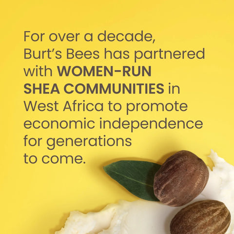 Shea + Cocoa Butter Moisturizing Lip Balm